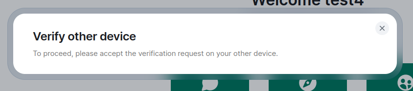 Screenshot of something on Element Web, text says 'Verify other device, to proceed, plese accept the verification request on your other device