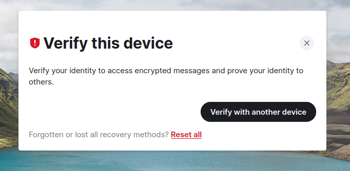 Screenshot of Element Web, text says 'Verify this device', 'verify your identity to access encrypted messages and prove your identity to others.' Button labelled 'Verify with another device' present